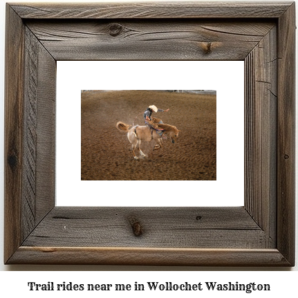 trail rides near me in Wollochet, Washington